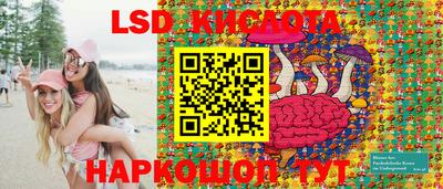 альфа пвп Новодвинск