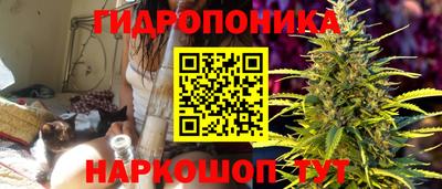 МДПВ Обнинск